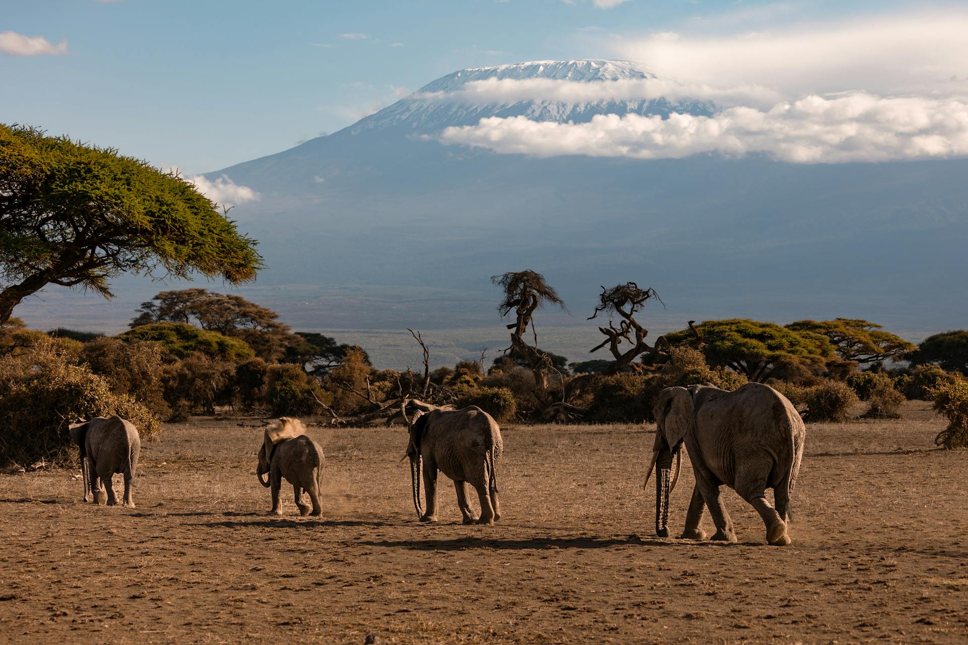 5 Days Maasai Mara, Lake Nakuru and Amboseli